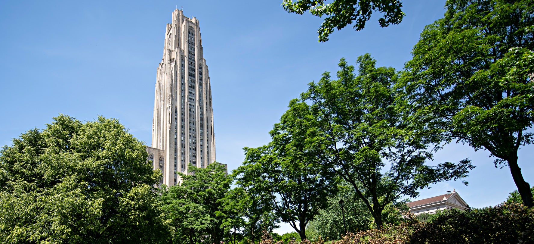 Cathedral of learning