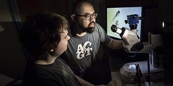 students working in bioscience lab