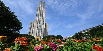 Summer flowers in front of Cathedral of Learning