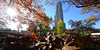 Autumn leaves on ground with Cathedral of Learning in background